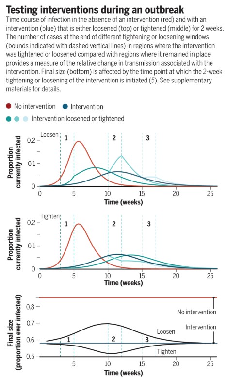 Graphical representation of three curves of disease transmission, with higher peaks and numbers of cases when no intervention is pursued, or when interventions or loosened too soon.